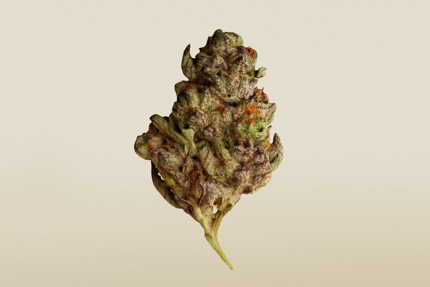 Realistic Cannabis Bud 01 3D model_3