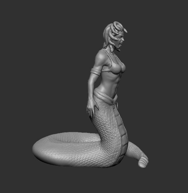 Medusa 3D print model_1