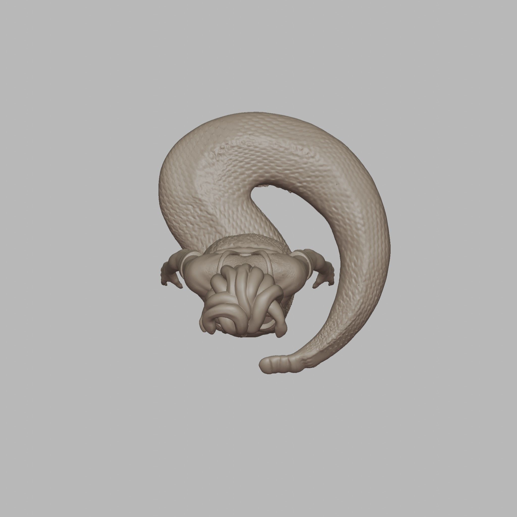 Medusa 3D print model_5