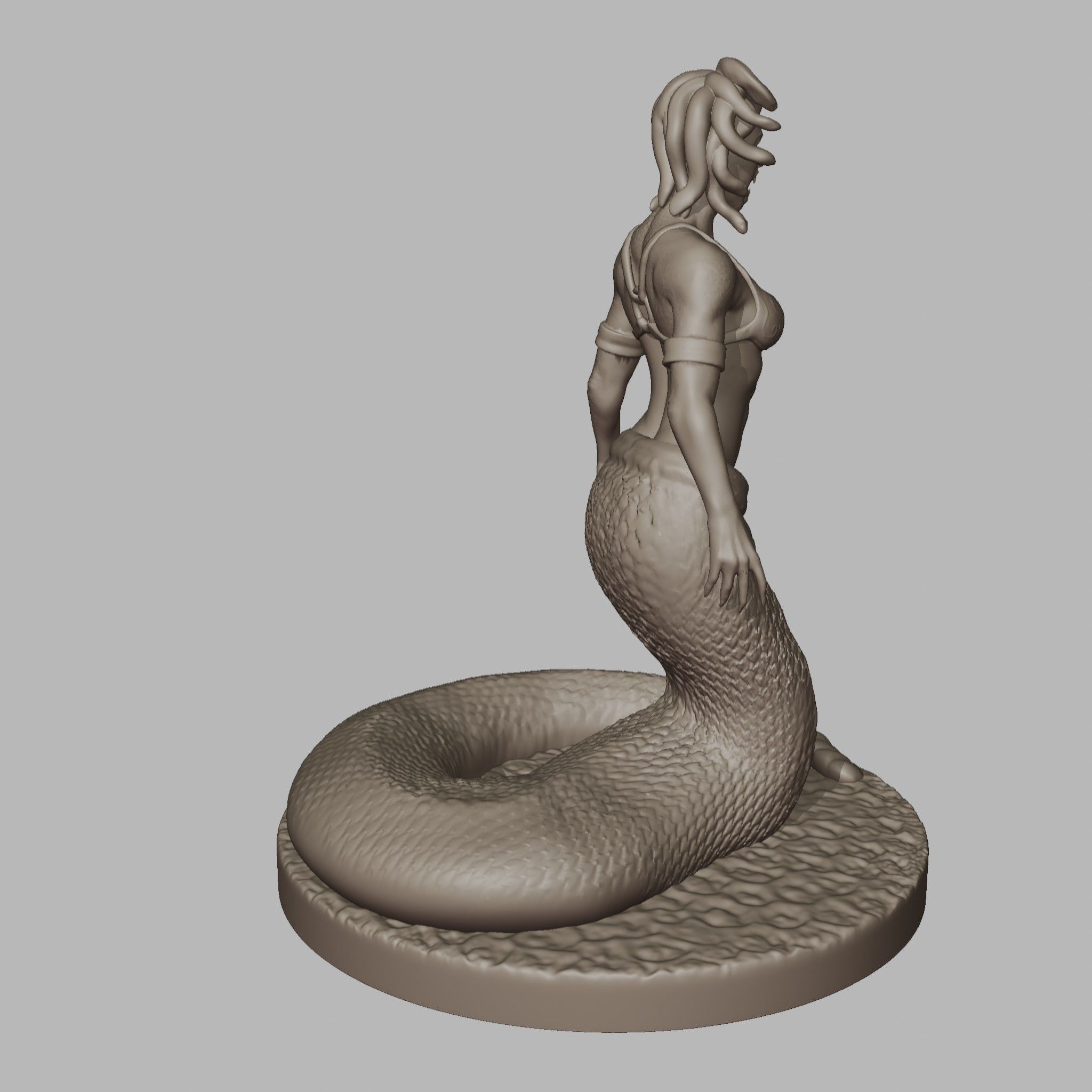 Medusa 3D print model_9