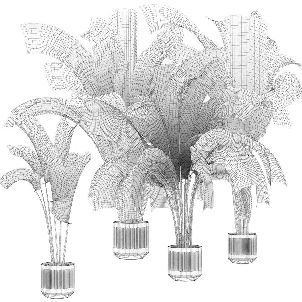 Collection plant vol 328 - indoor - banana - leaf 3D model_5