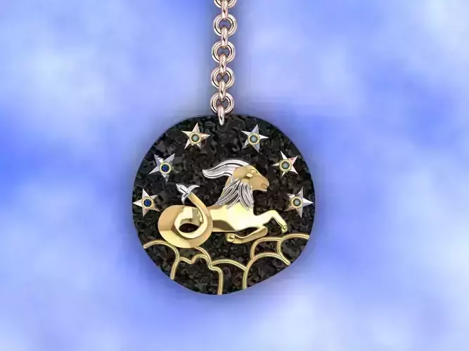 capricorn zodiac coin necklace 