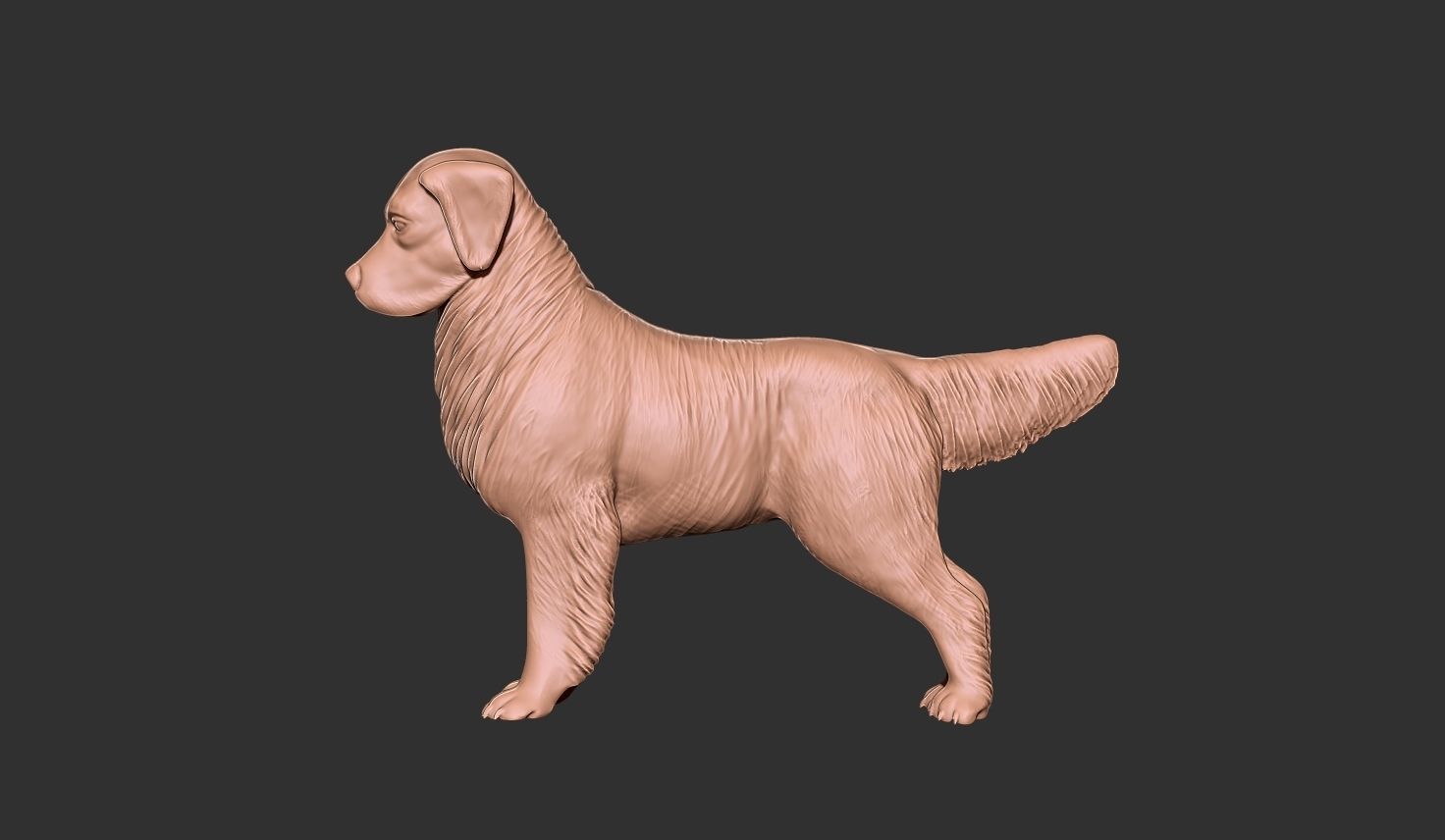 dog bas relief 3D print model_3