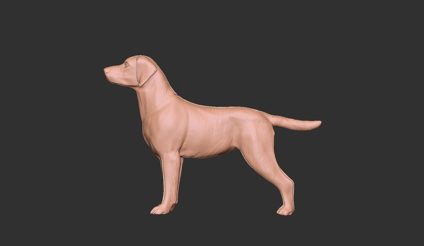 dog bas relief 3D print model_4