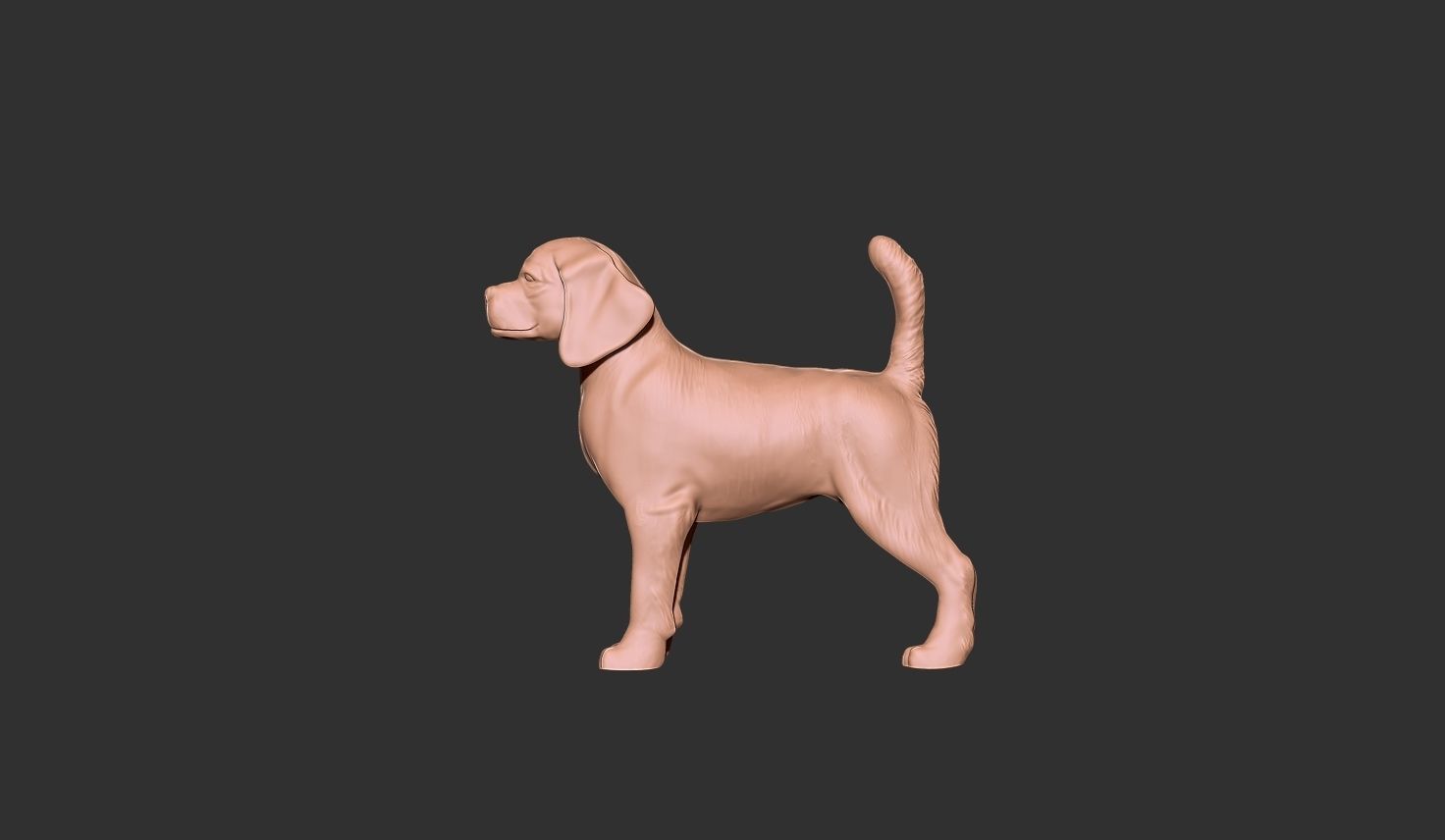 dog bas relief 3D print model_1