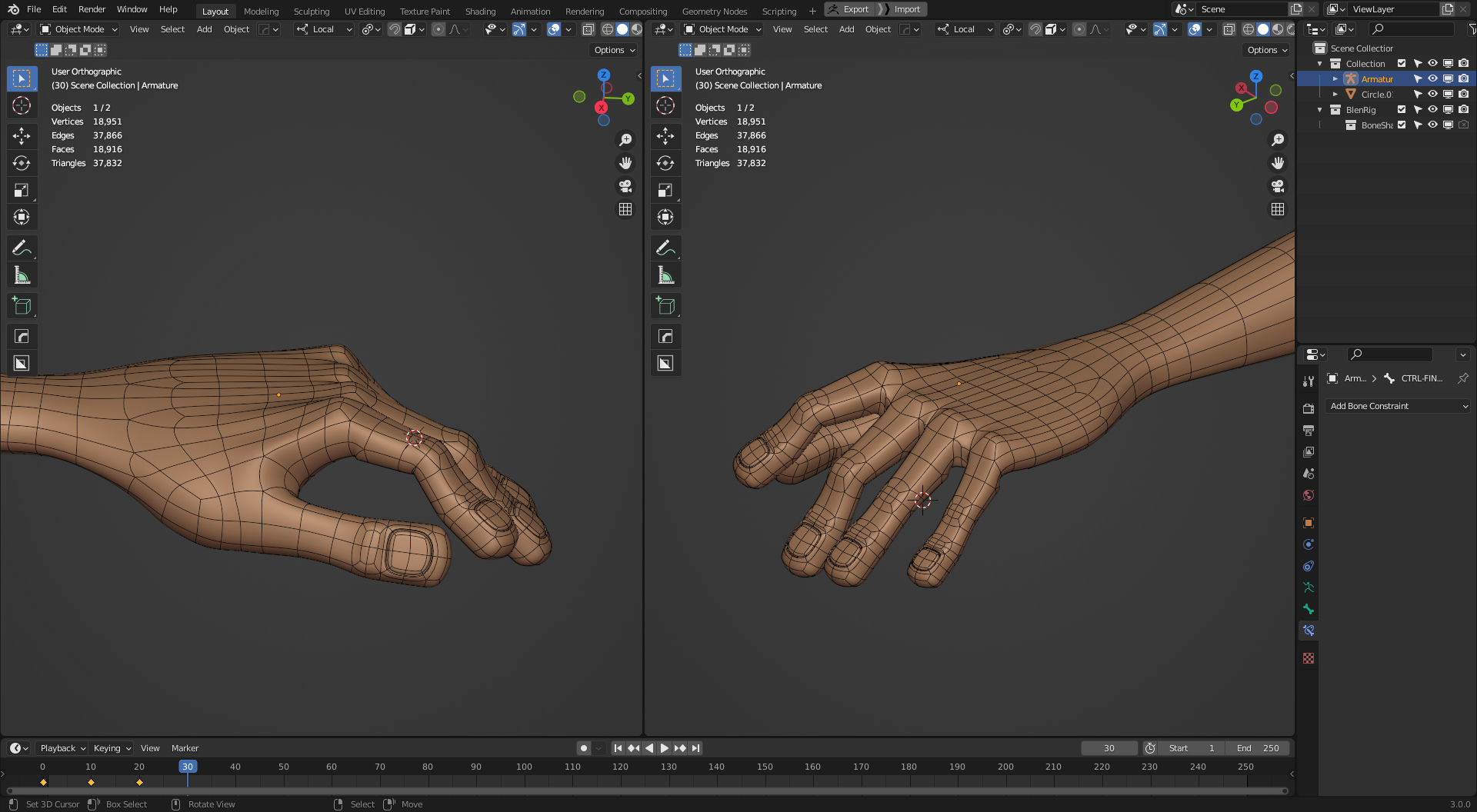 Rigged Arm and Hand - Blender 3D model_8