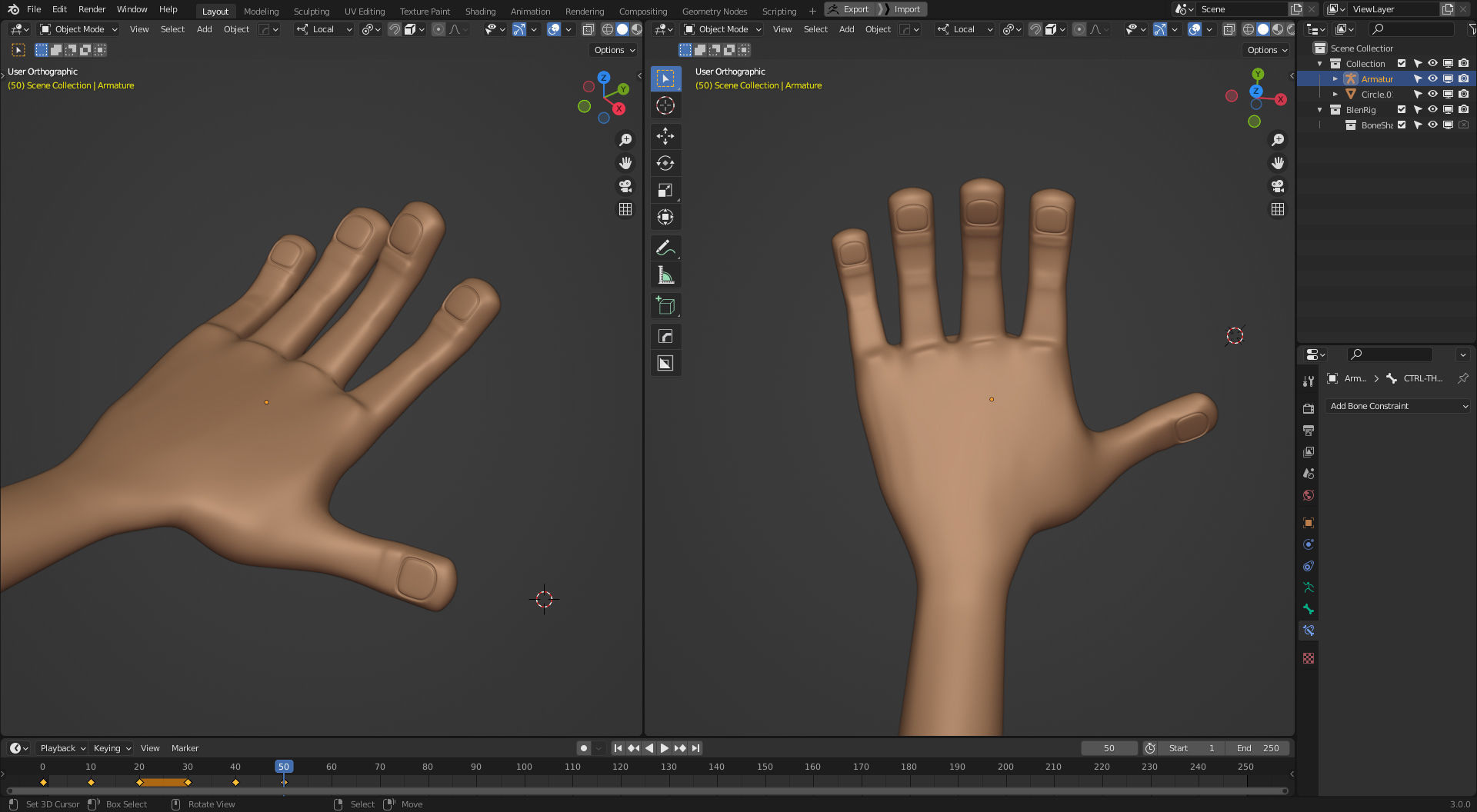 Rigged Arm and Hand - Blender 3D model_3