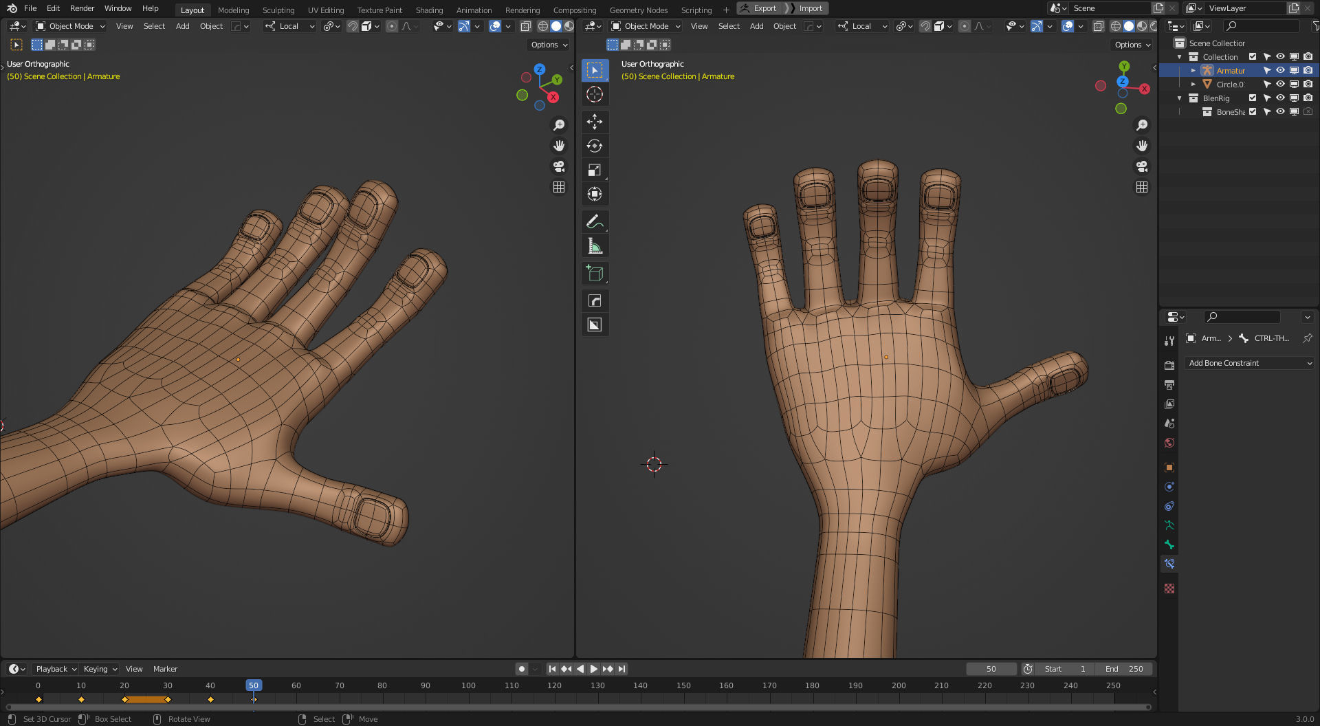 Rigged Arm and Hand - Blender 3D model_4