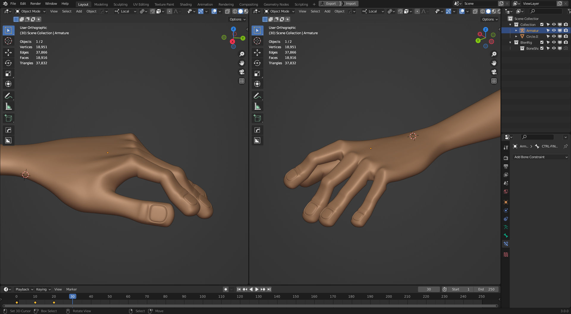 Rigged Arm and Hand - Blender 3D model_7