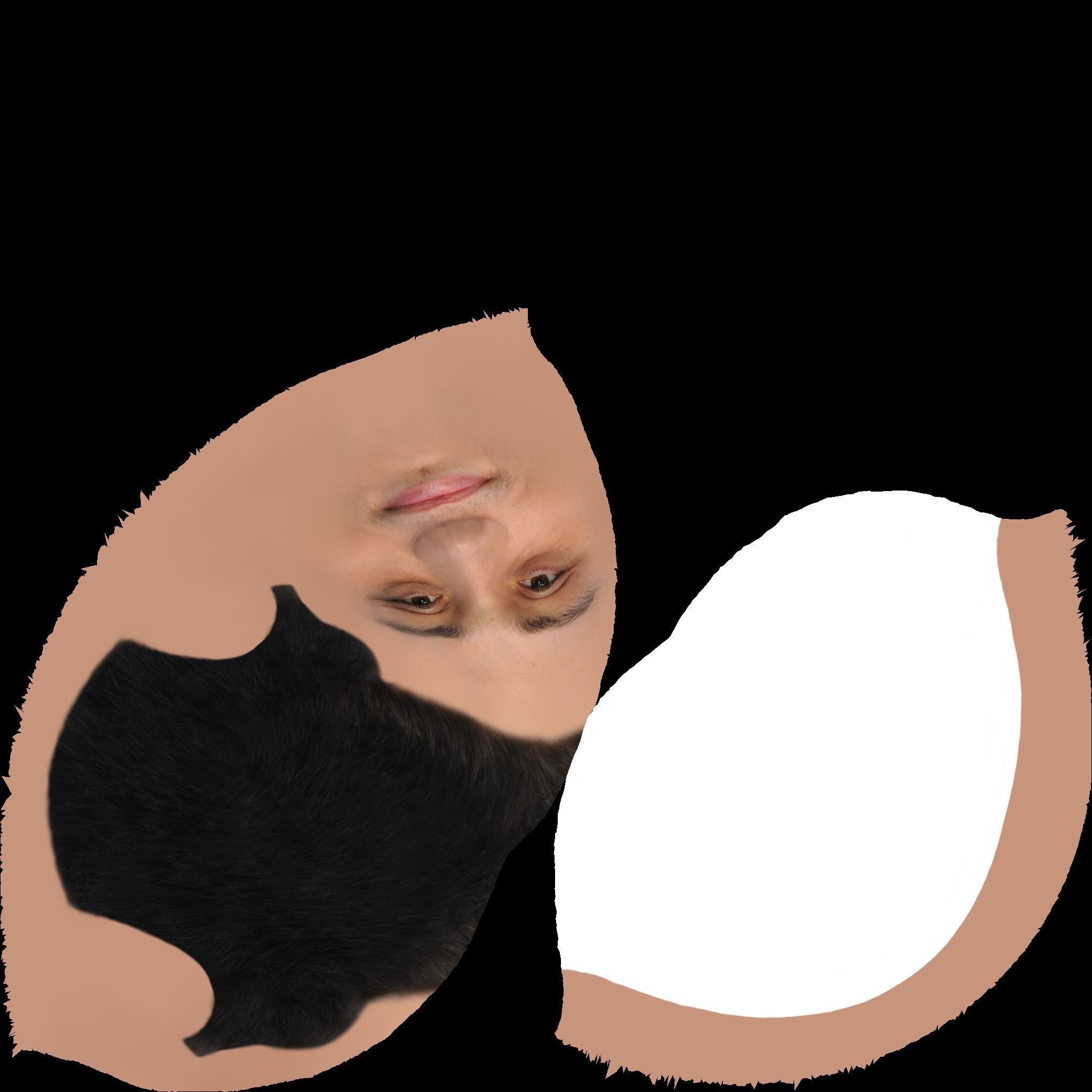 Pete Davidson bust ready for full color 3D printing 3D print model_18