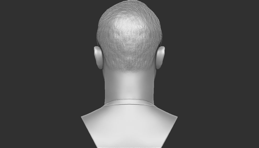 Pete Davidson bust ready for full color 3D printing 3D print model_26