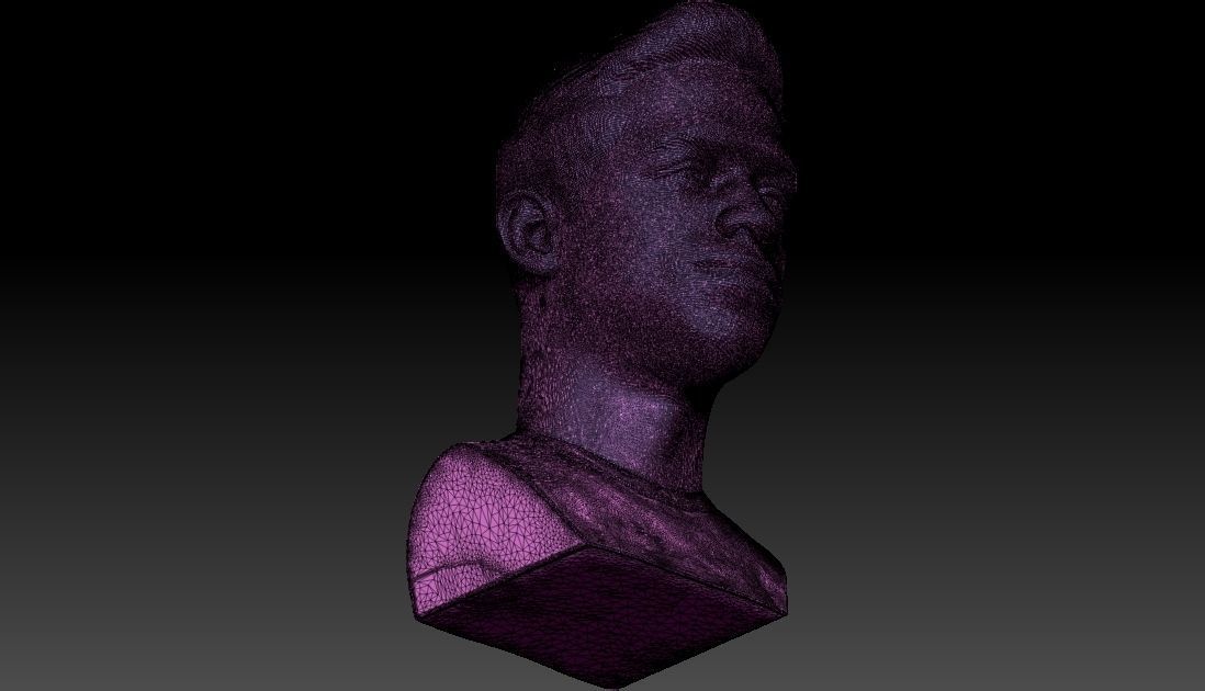 Pete Davidson bust ready for full color 3D printing 3D print model_48