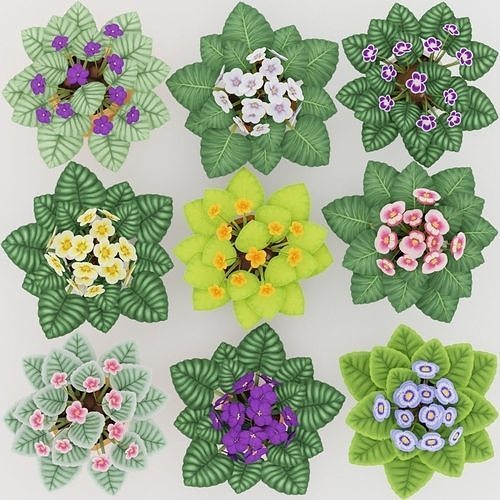 Low poly handpainted violets Low-poly 3D model