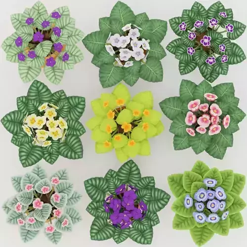 Low poly handpainted violets