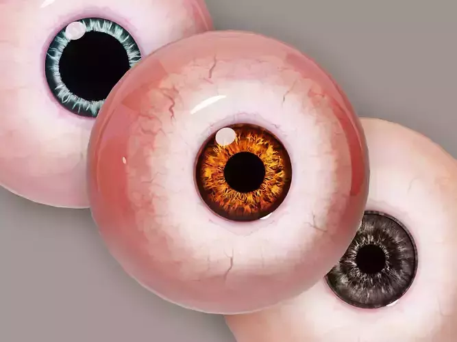 Eyes with Pupil dilation animation Low-poly 3D model