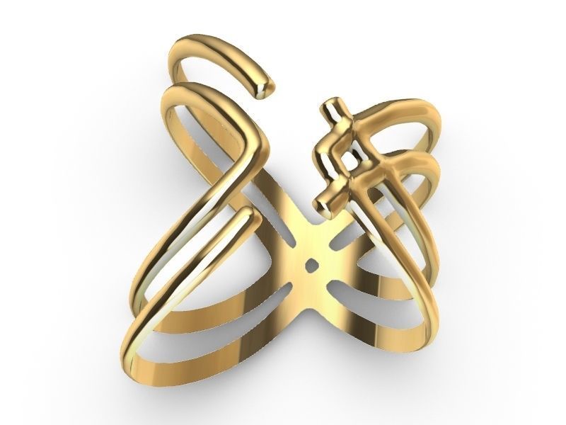 2 stylish rings stl veriifed 3D print model_11