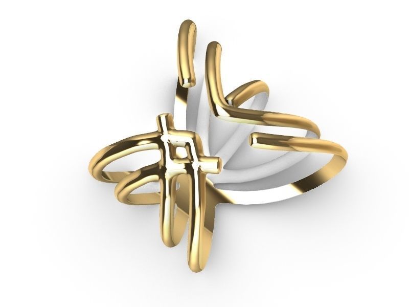 2 stylish rings stl veriifed 3D print model_21