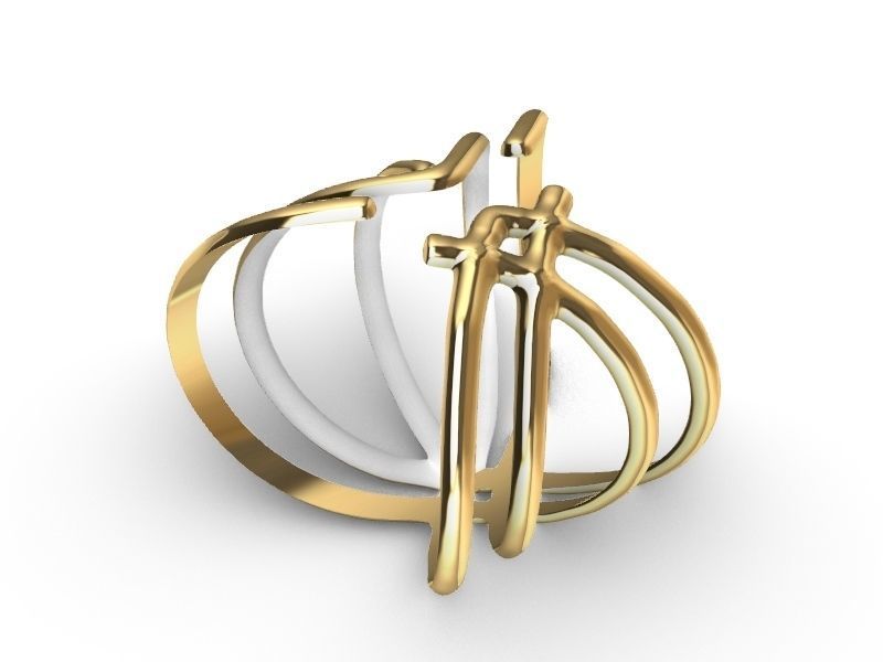 2 stylish rings stl veriifed 3D print model_18