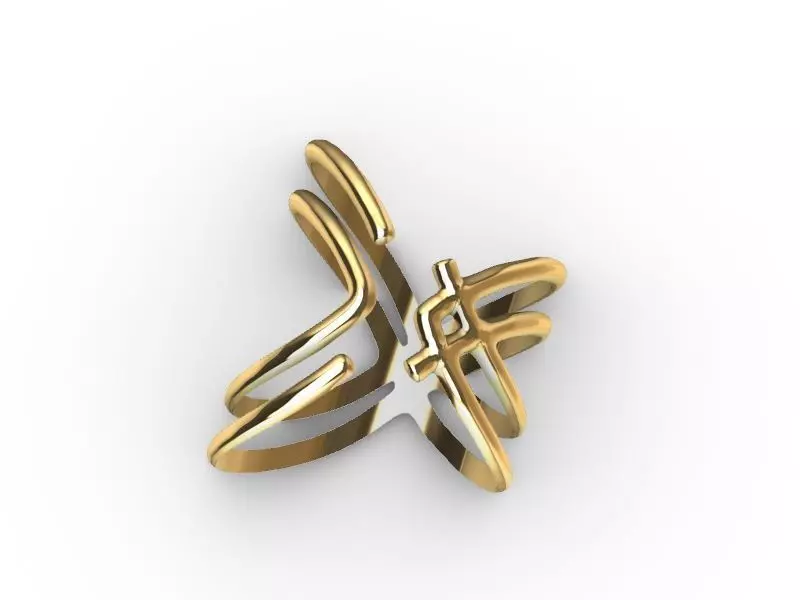 2 stylish rings stl veriifed 3D print model_0