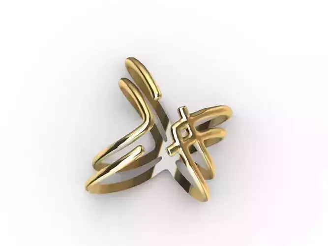 2 stylish rings stl veriifed 3D print model
