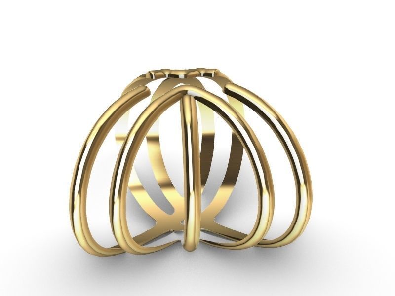 2 stylish rings stl veriifed 3D print model_16