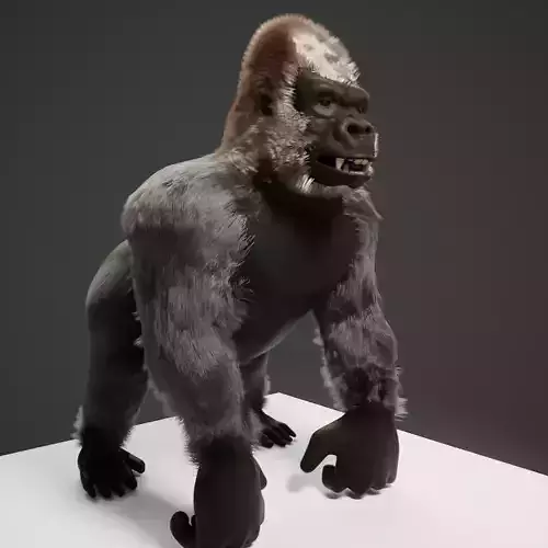 Gorilla blend file