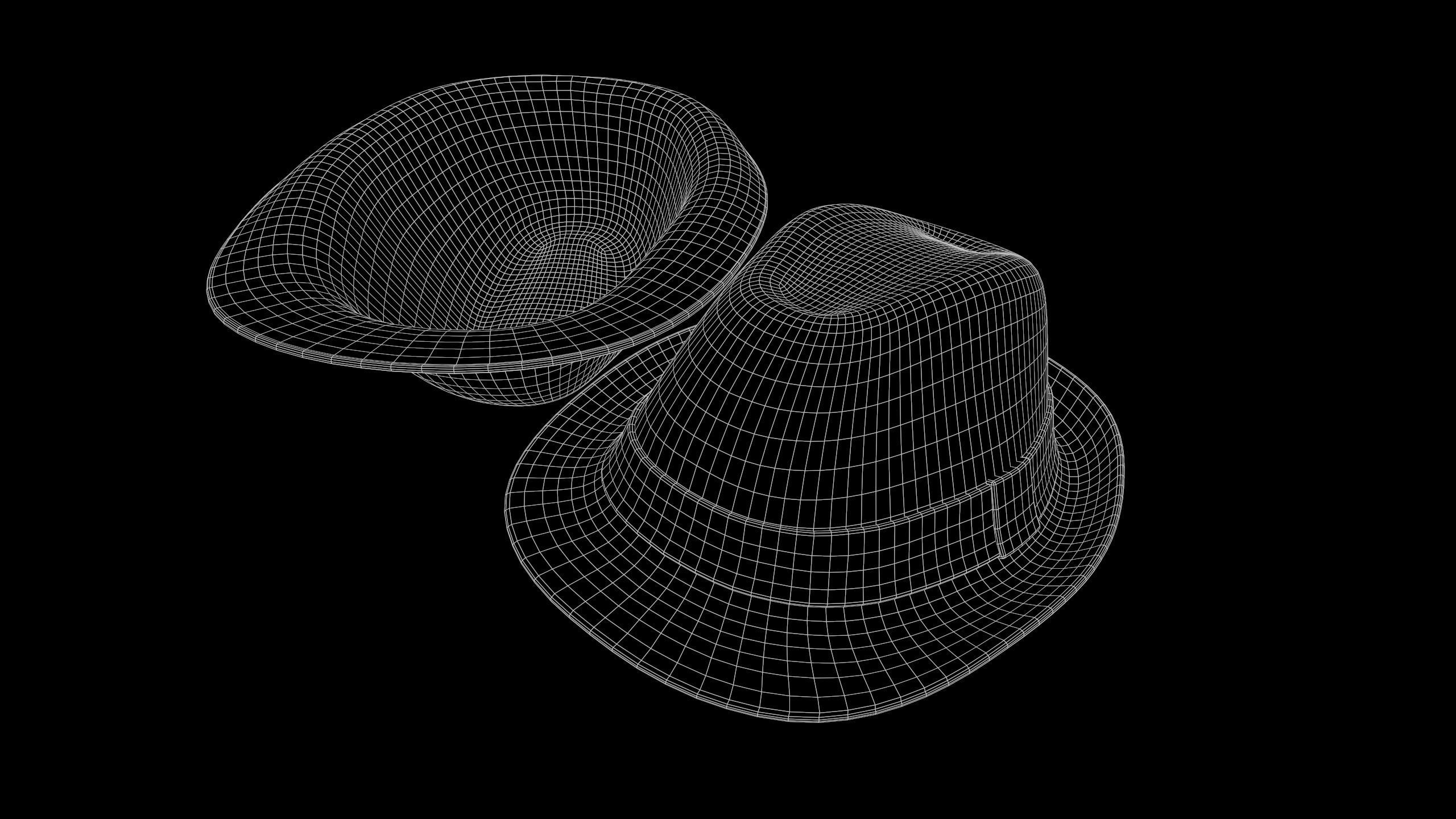 Fedora Hat 3D model_5