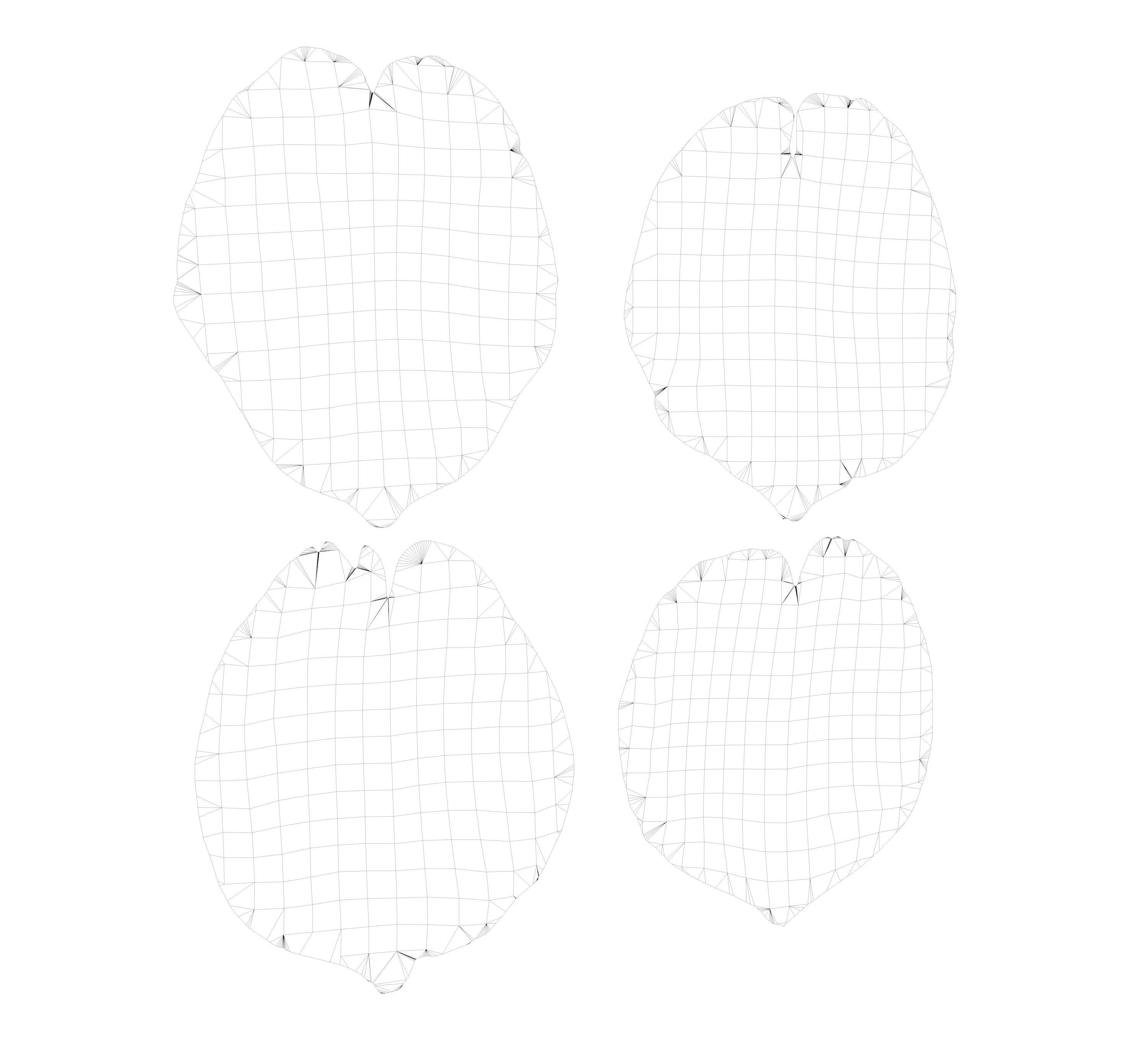 Flying Petals Pack  Low-poly 3D model_8