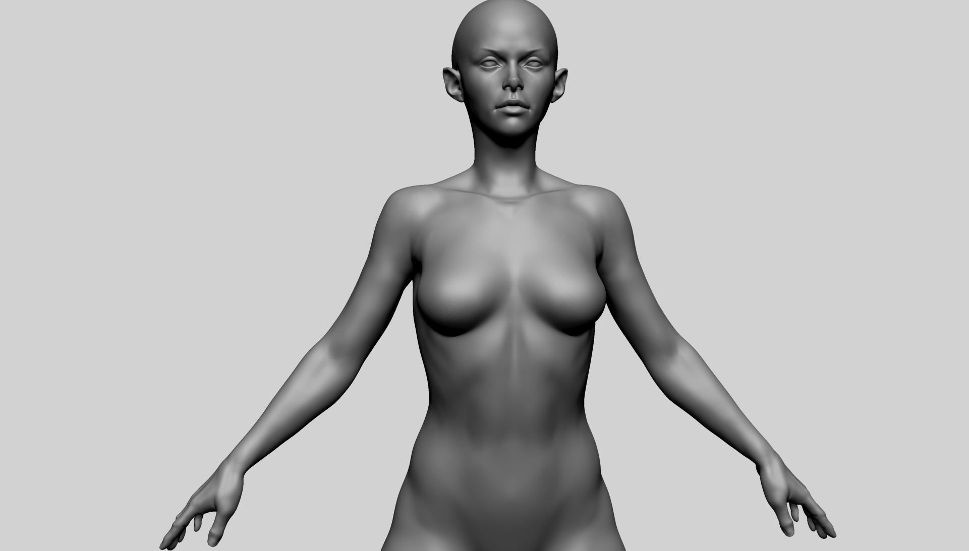 Base Female Anatomy A 3D model_9