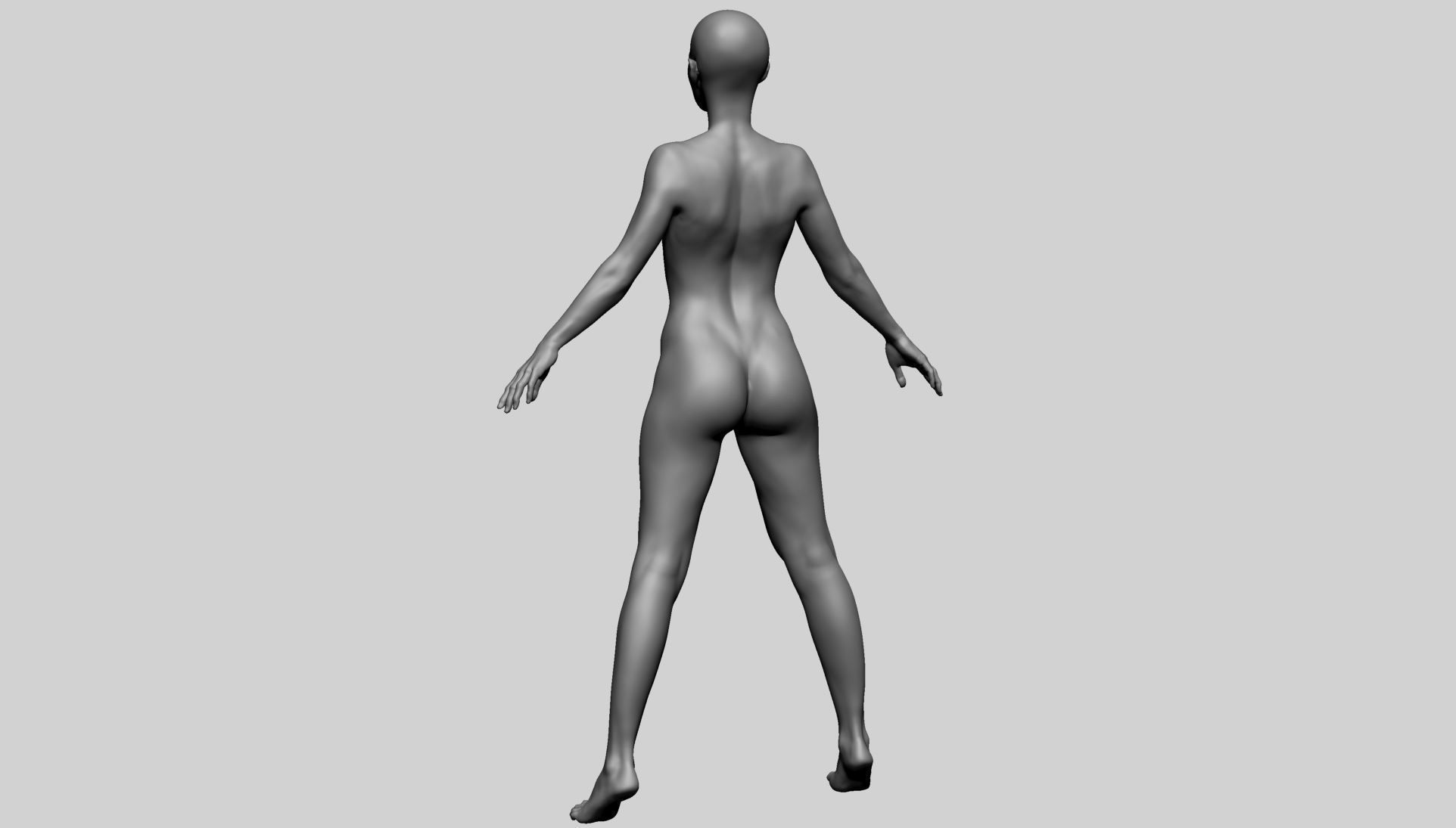 Base Female Anatomy A 3D model_6