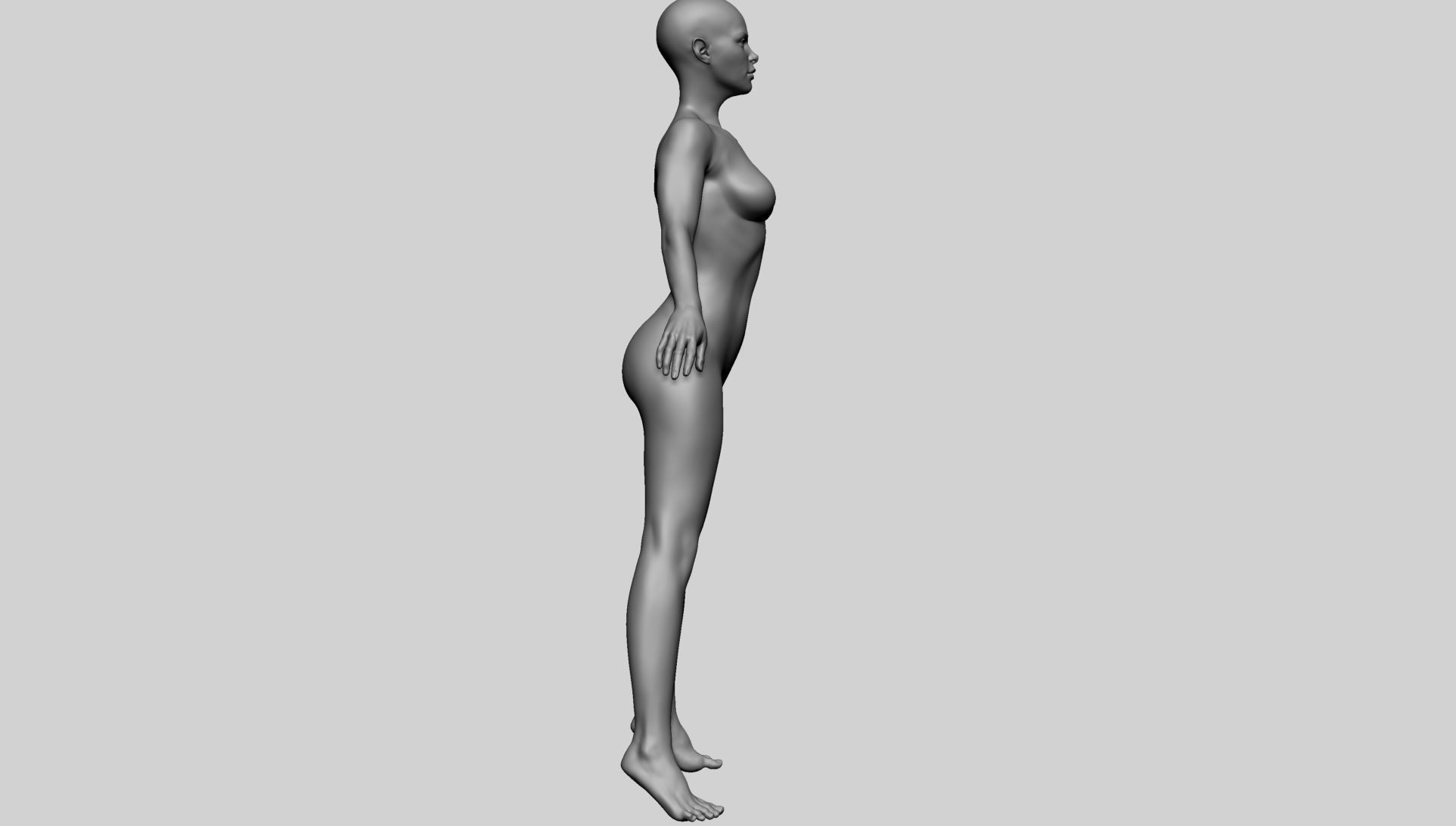 Base Female Anatomy A 3D model_3