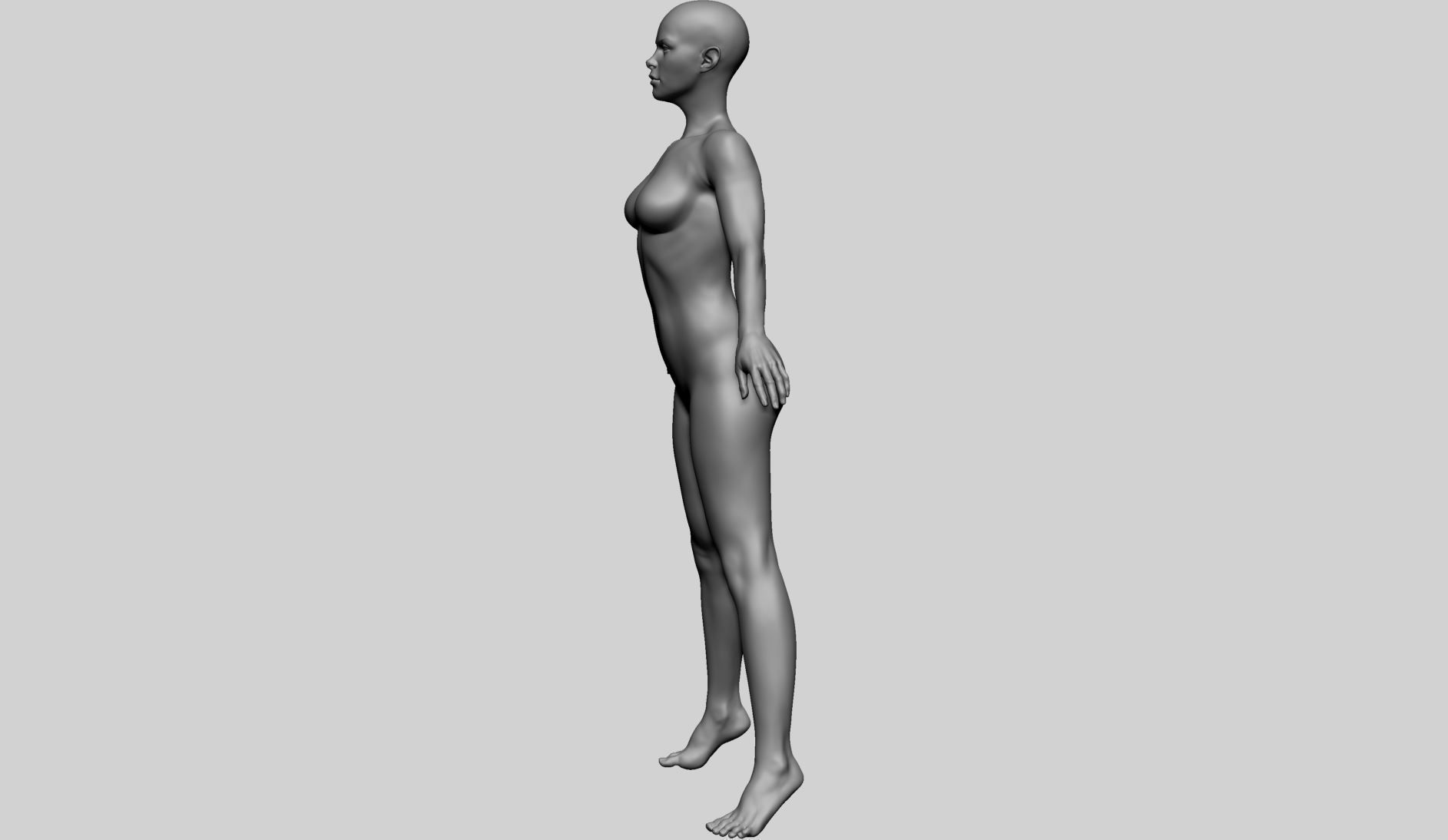 Base Female Anatomy A 3D model_7