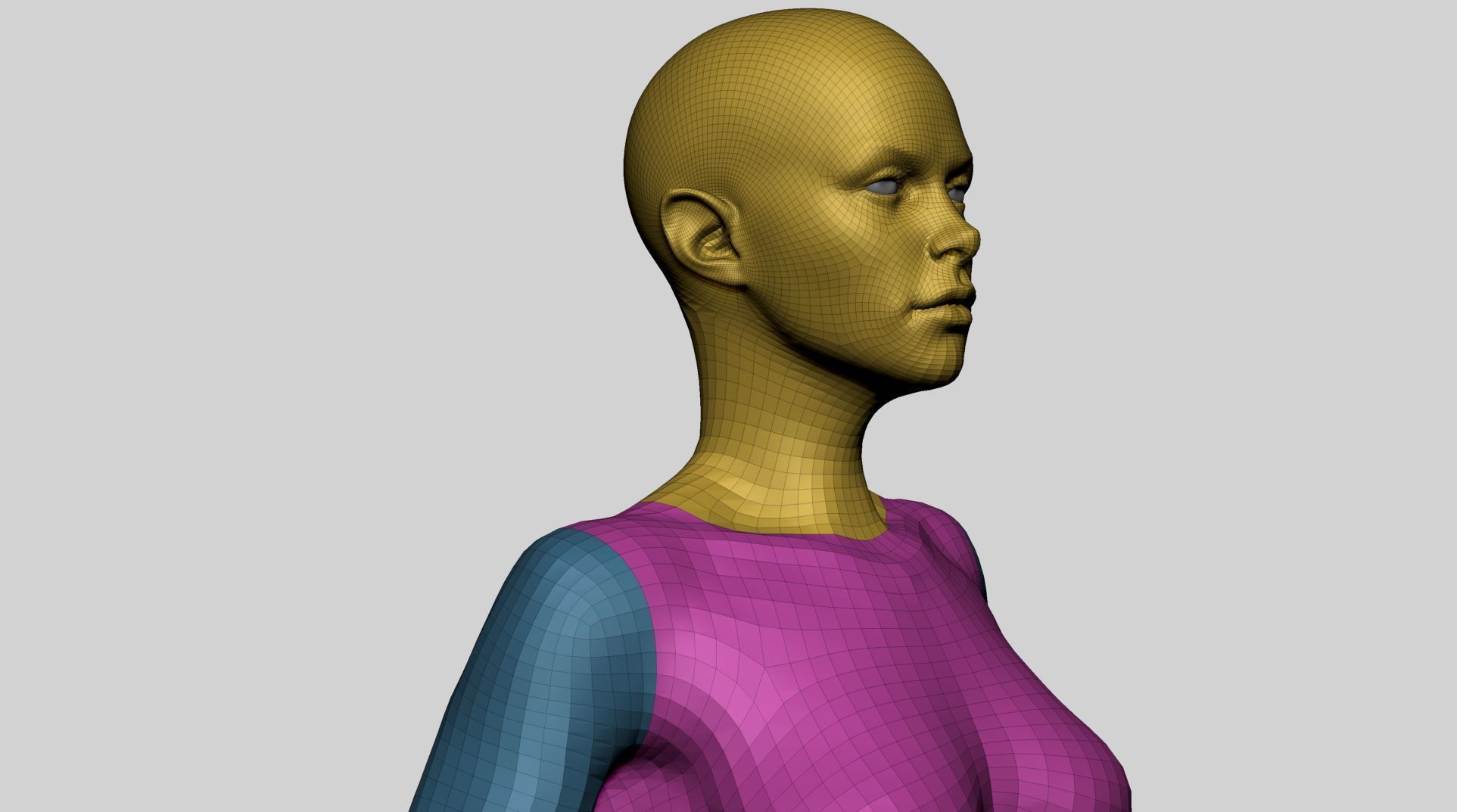 Base Female Anatomy A 3D model_16
