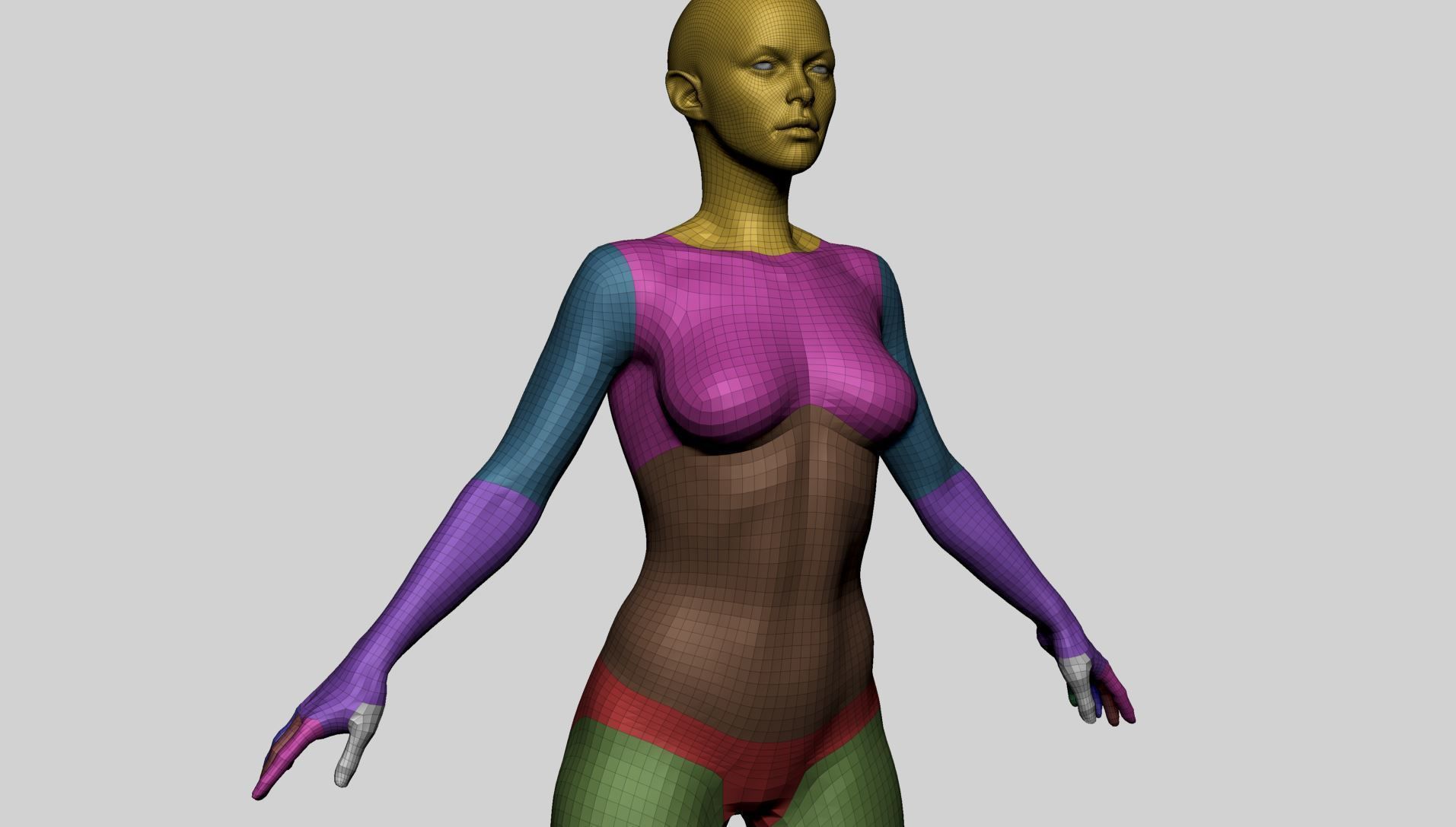 Base Female Anatomy A 3D model_14