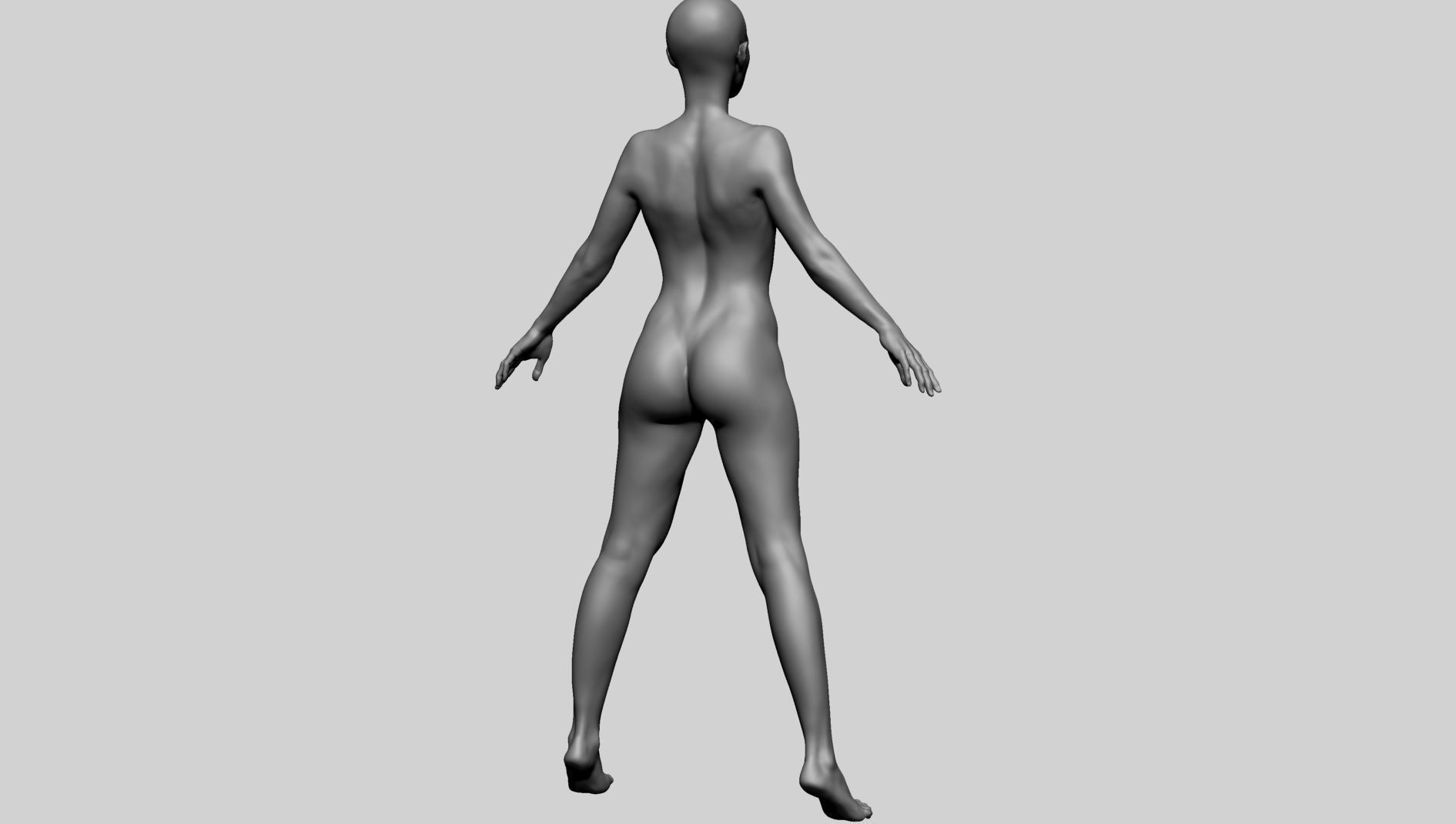 Base Female Anatomy A 3D model_4