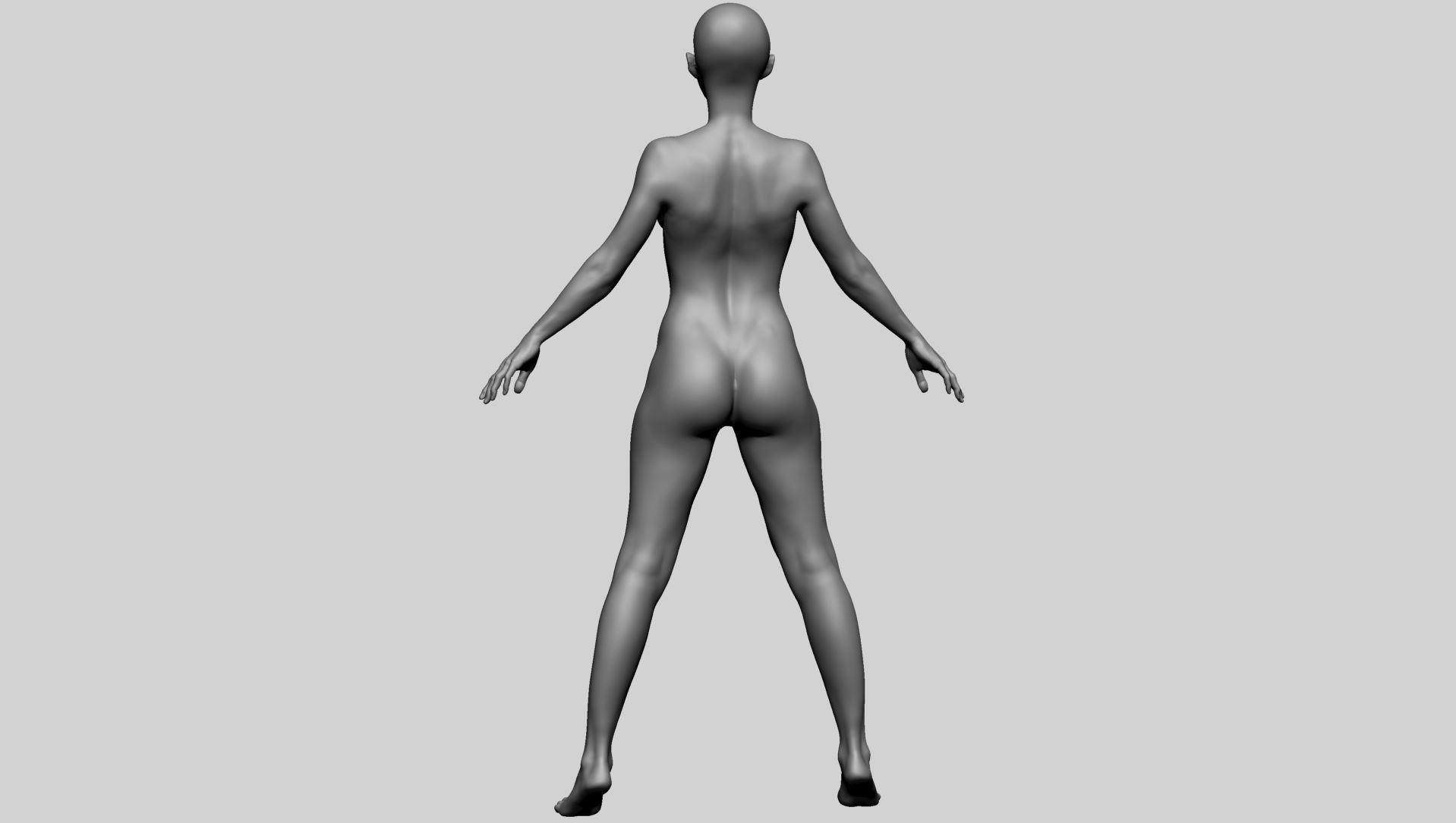 Base Female Anatomy A 3D model_5