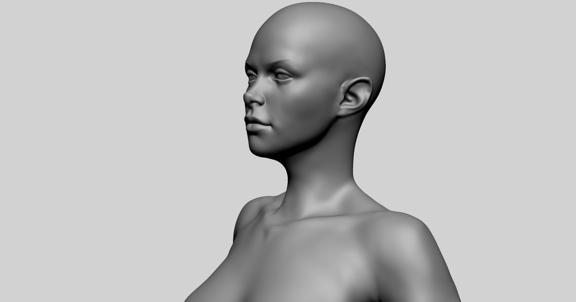 Base Female Anatomy A 3D model_11