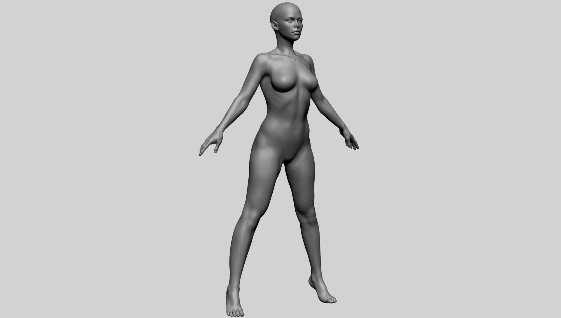 Base Female Anatomy A 3D model_2