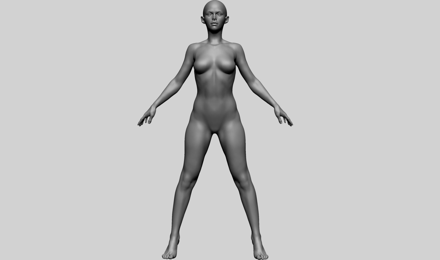 Base Female Anatomy A 3D model_8