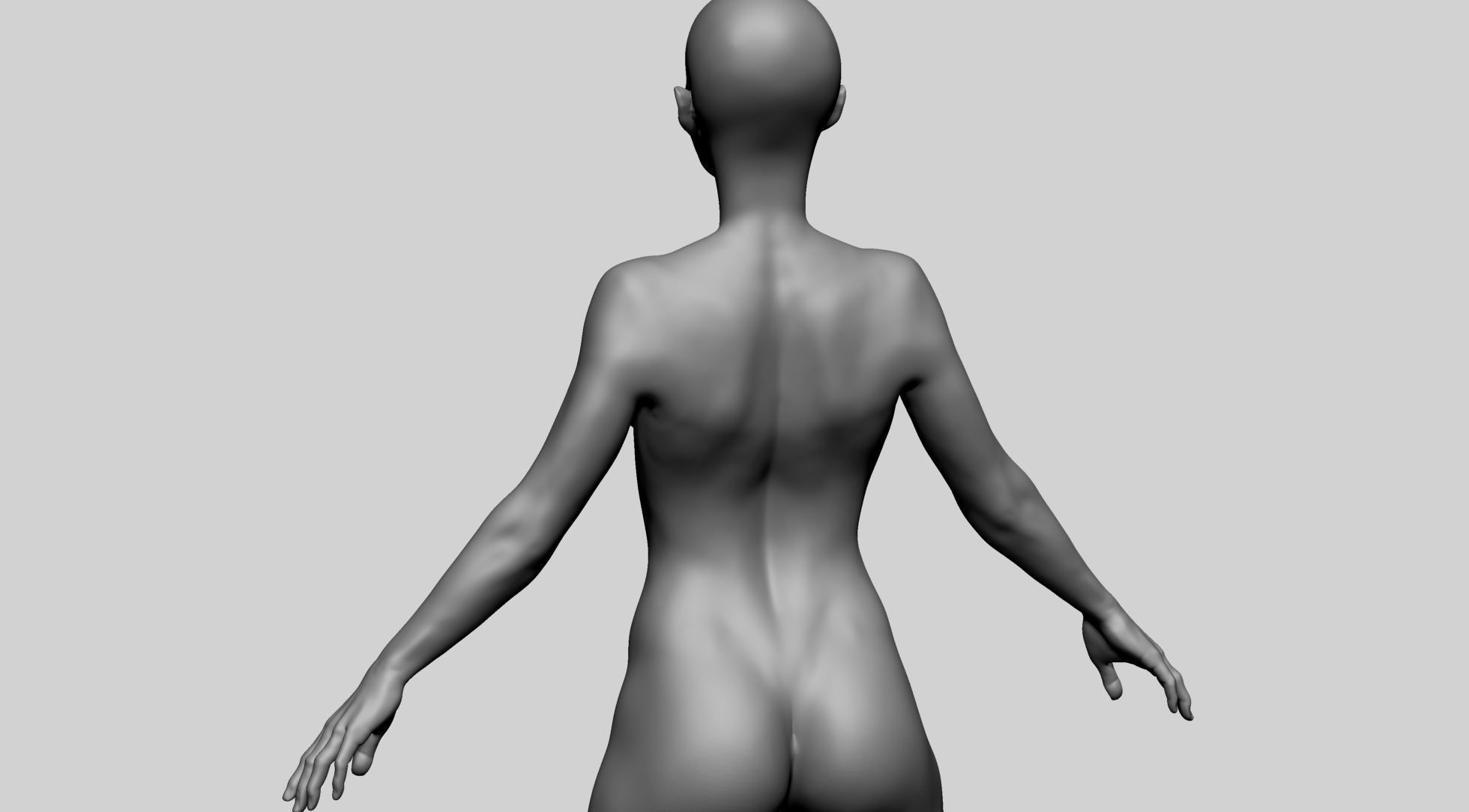 Base Female Anatomy A 3D model_12