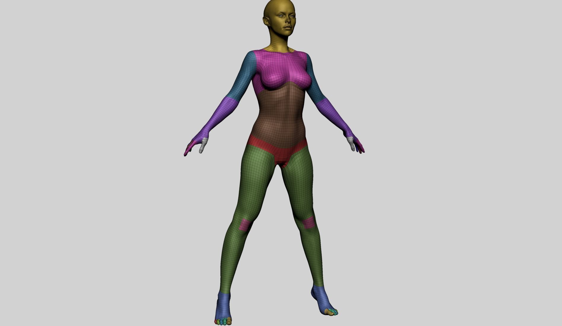 Base Female Anatomy A 3D model_13