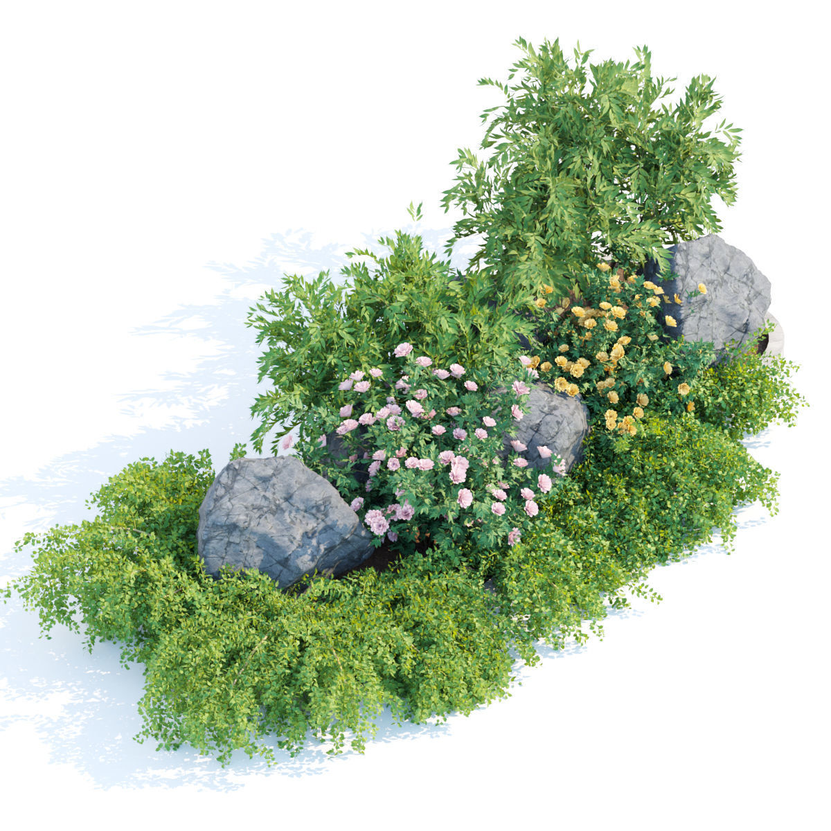 garden plants collection vol 57 3D model_2