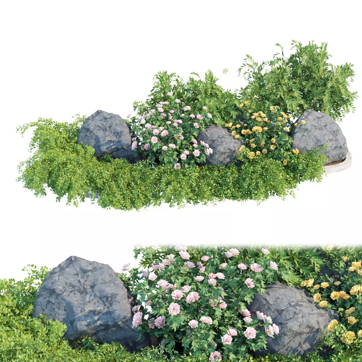garden plants collection vol 57 3D model_0