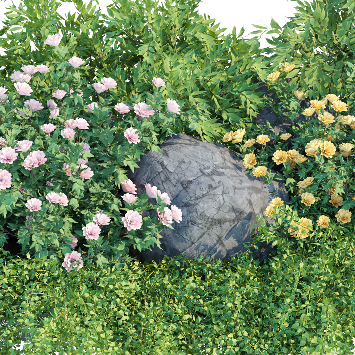 garden plants collection vol 57 3D model_1