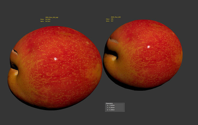Plum  3D model 6