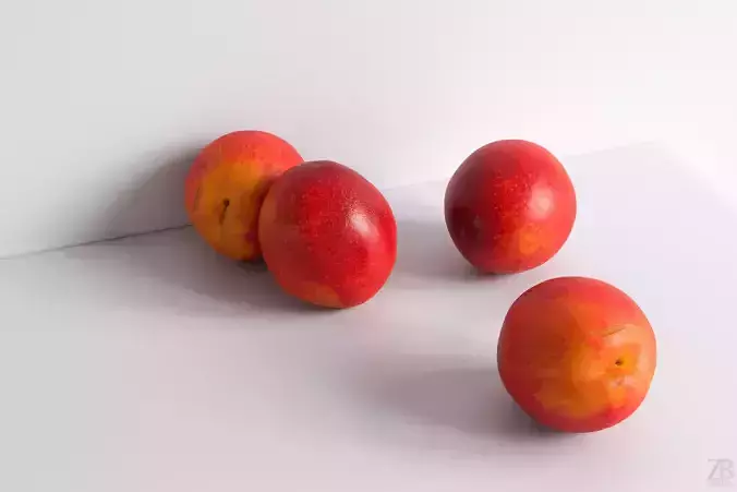Plum  3D model