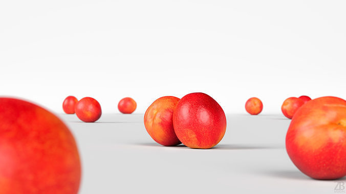 Plum  3D model 2