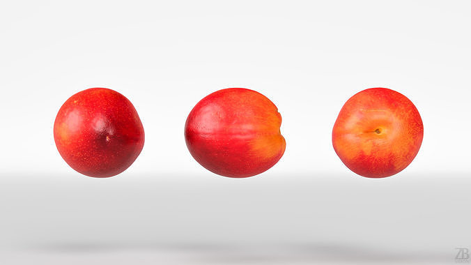 Plum  3D model 5