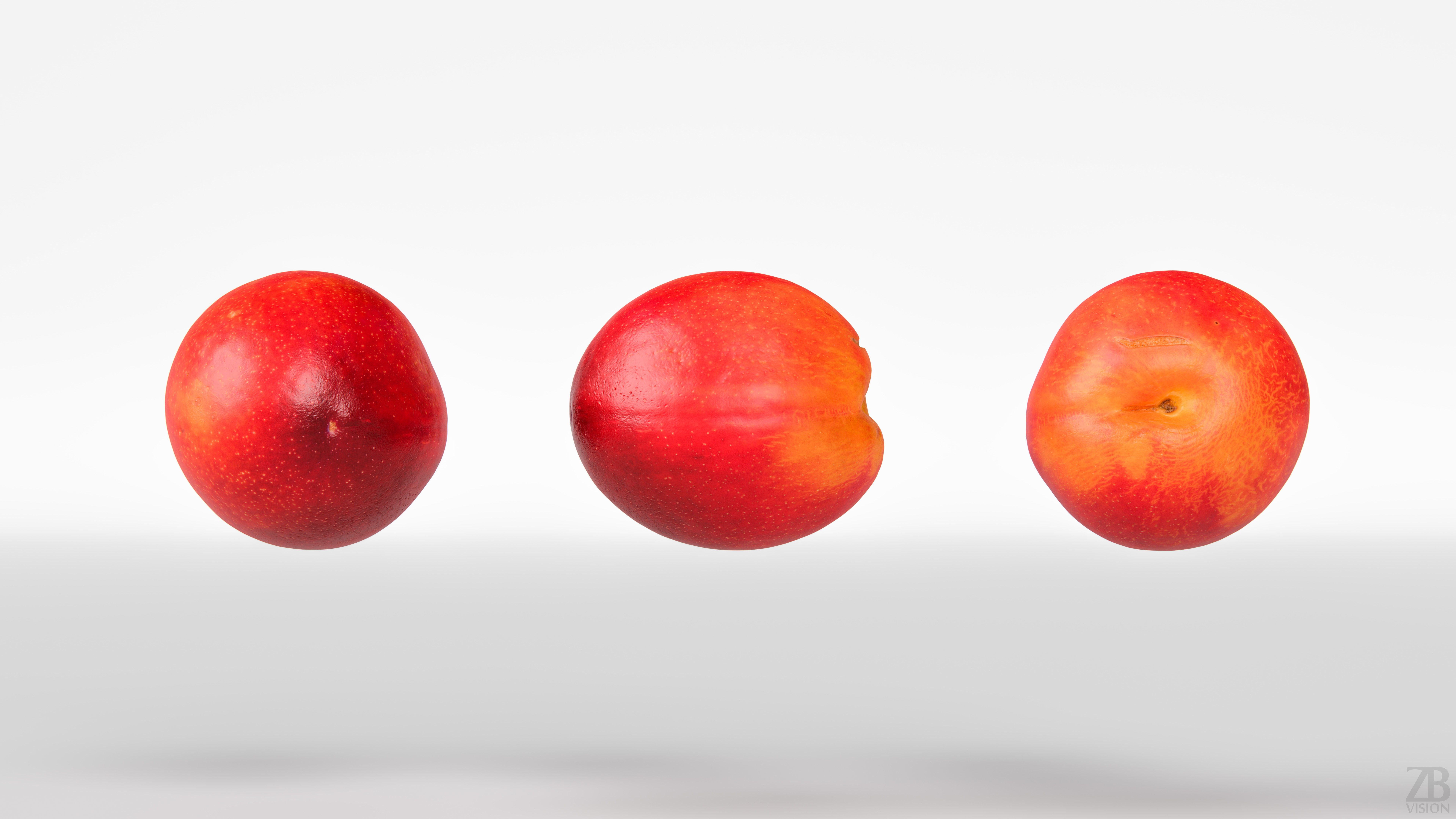 Plum 3D model_4