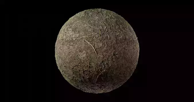 Dirt 16 Texture